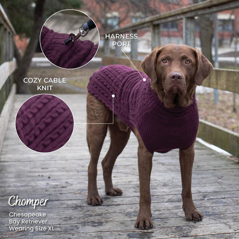 Shedrow K9 Brentwood Cable Knit Dog Sweater Plus L Wine Tasting - Poudre Pet & Feed Supply 3